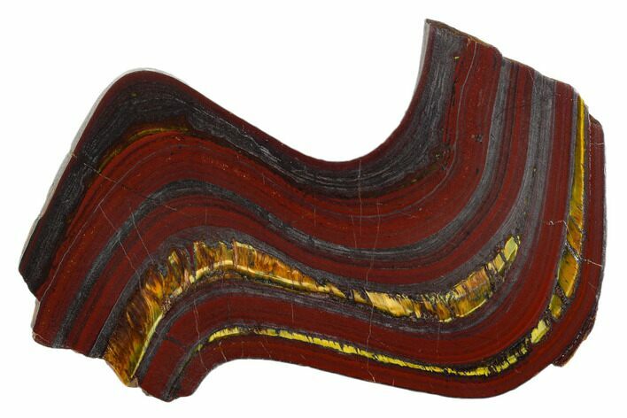 Polished Tiger Iron Stromatolite - Billion Years #129209